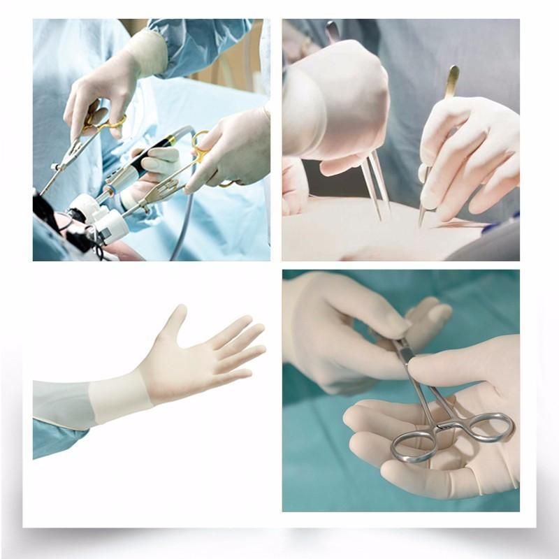 Sterile Sythetic Powder Free Surgical Gloves