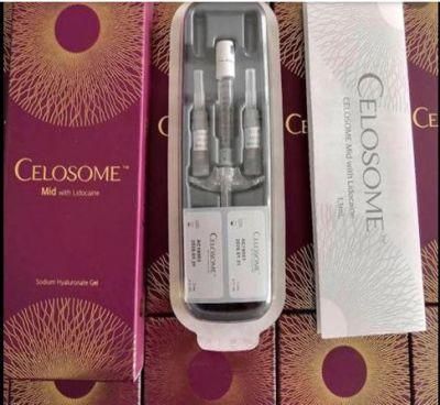 New 24mg Skin Rejuvenation Injection Celosome Ha Skin Filler for Injection Cheek Facial Neck