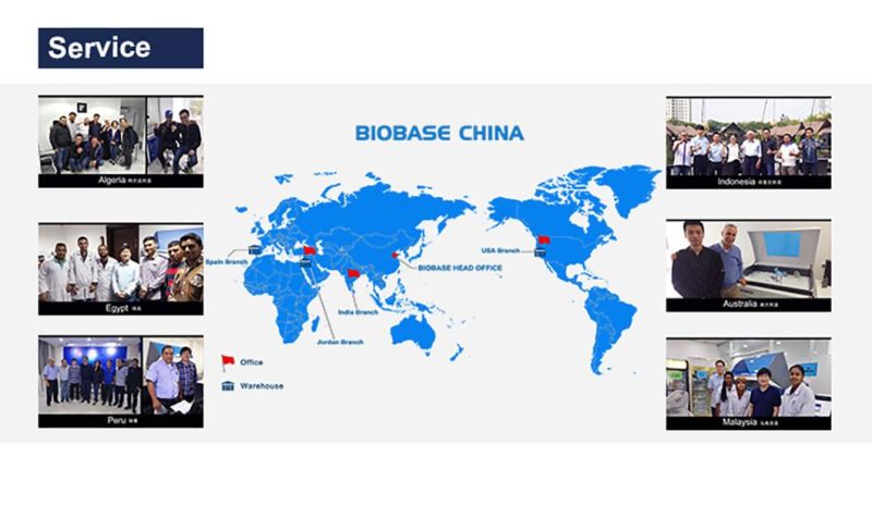 Biobase Rt-Qpcr Detection Kit PCR Reagent Real Time PCR Kits