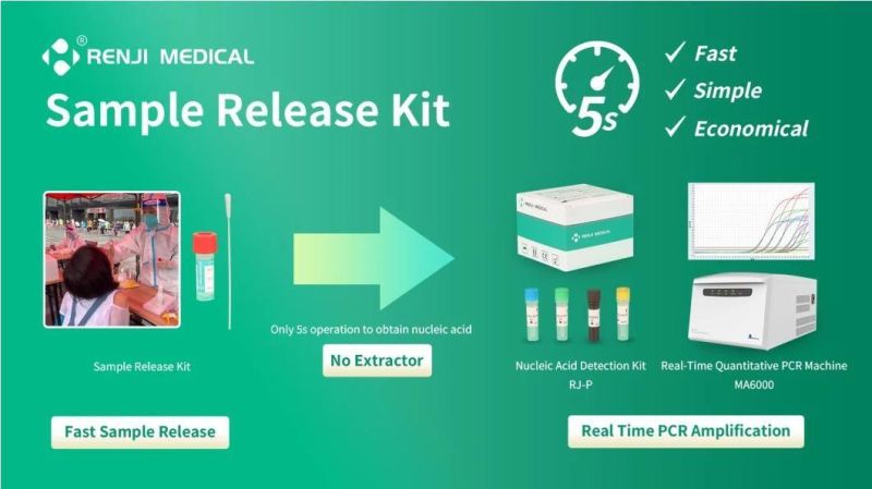 Disposable Sample Release Reagent Sterile Disposable Transferring Kit with Flocked Swab