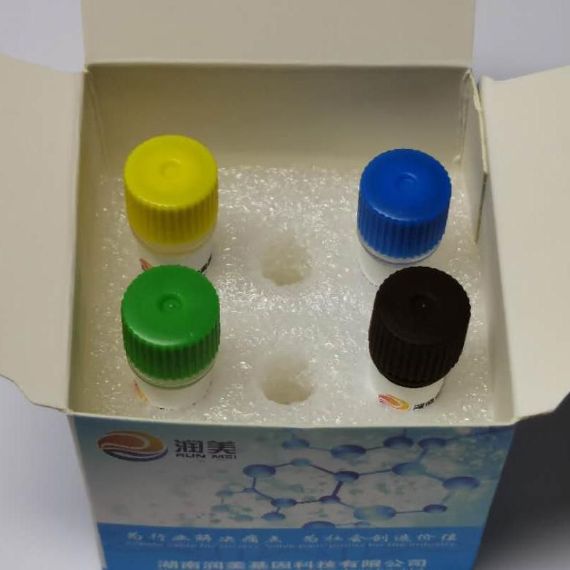 PCR Rapid Test Nucleic Acid Extraction Detection Kit Testing Kit