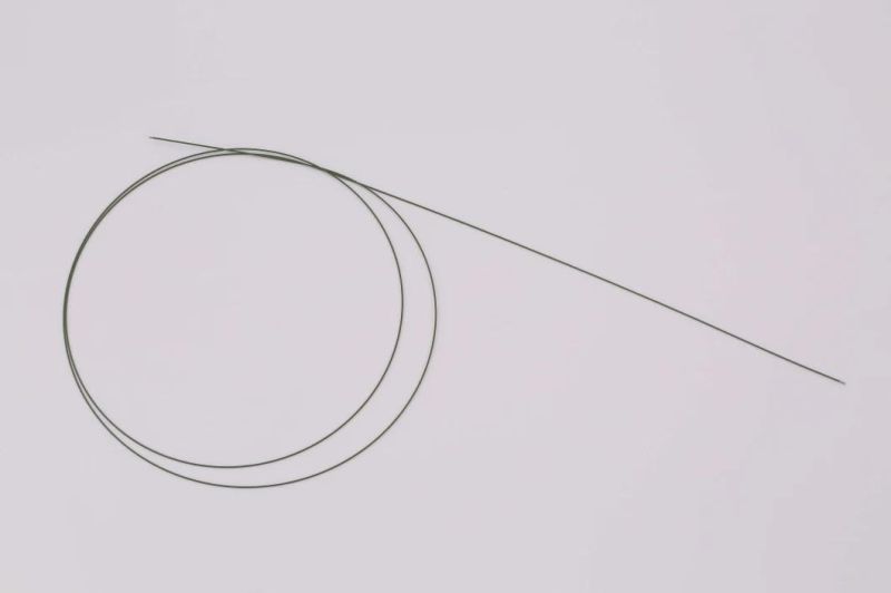 Urological PTFE Guidewire