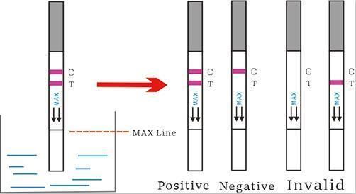 Infectious Disease Test HCV Hbsag HIV Syphilis Test Kit Medical HCV Rapid Diagnostic Test Strip