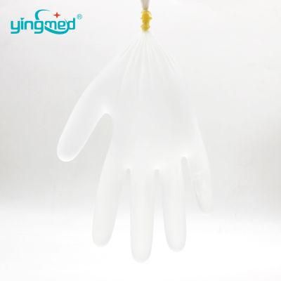 PVC Gloves Disposable Vinyl Medical Examination Household Gloves