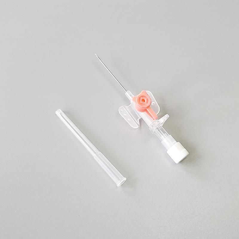 Disposable Intravenous Cannula with Wings and Injection Port