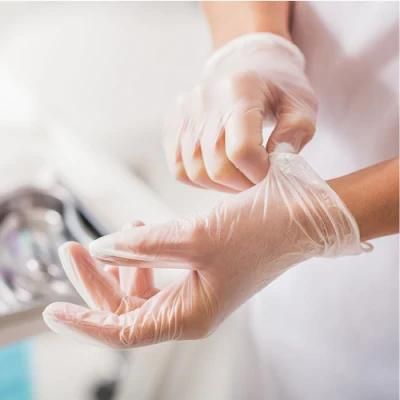 Non-Sterile Powder Free Disposable Vinyl Gloves PVC Gloves Clear