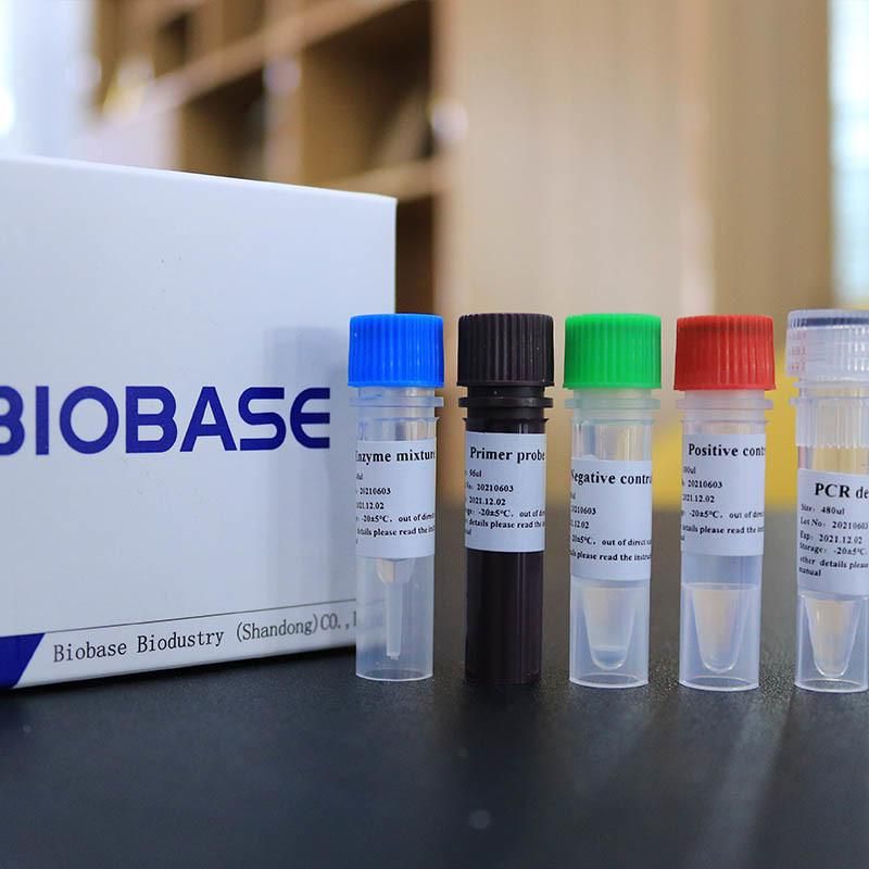 Biobase Rt-Qpcr Detection Kit PCR Reagent Real Time PCR Kits