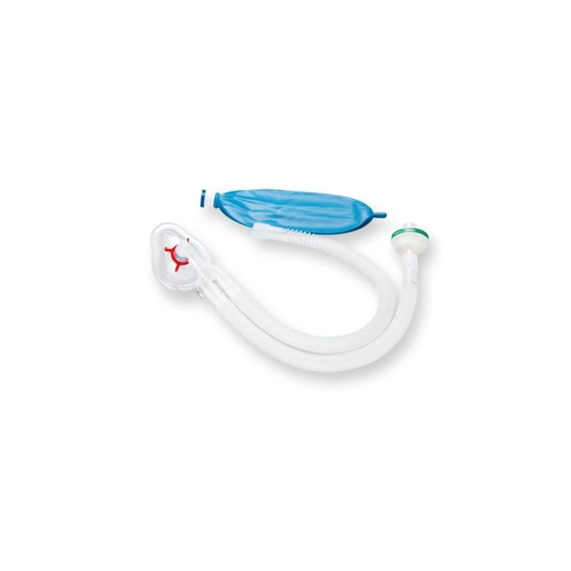 Disposable Anesthesia Circuit Kit with Circuit & Air Bag