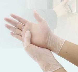 Restaurants Food Disposable Glove Powder Free Transparent Vinyl Gloves PVC Gardening Working-Gloves