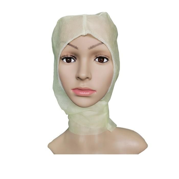 ISO13485 Manufacturer Salon and SPA Room Polypropylene Dust Proof Hair Cover Workshop Electronic Industry Disposable Balaclava Cap