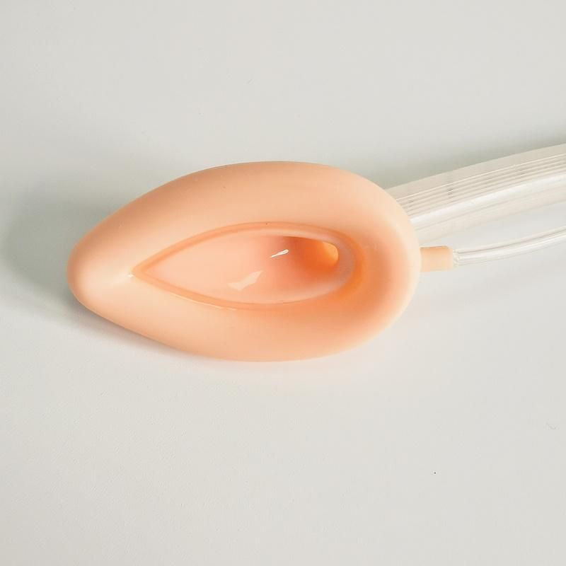 Medical Disposable Silicone Laryngeal Mask Airway Silicone Tube Manufacturer