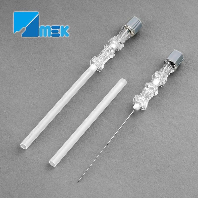 Sprotte Spinal Needle with Introducer 25g90mm