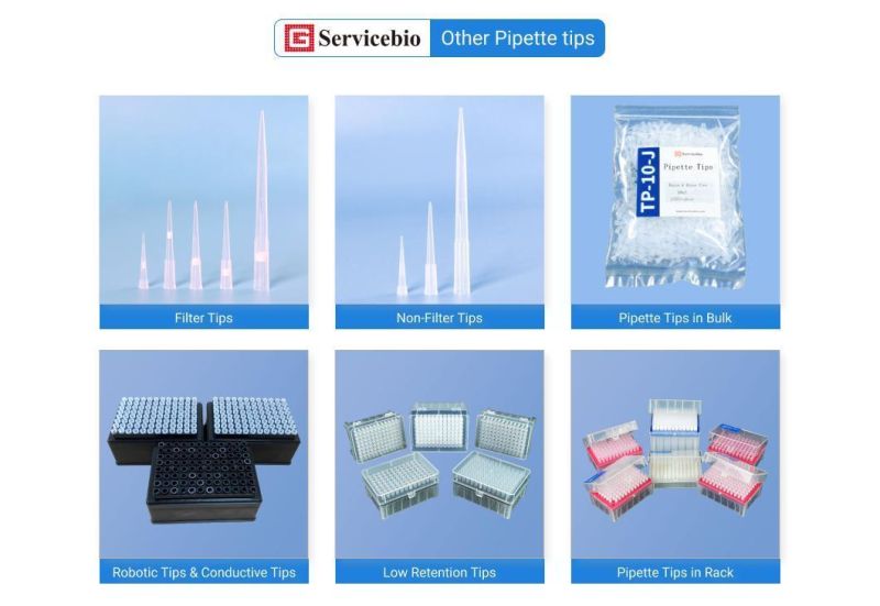 Disposable Transparant Filter Pipette Tips Sterilized 10UL/20UL/100UL/200UL/1000UL