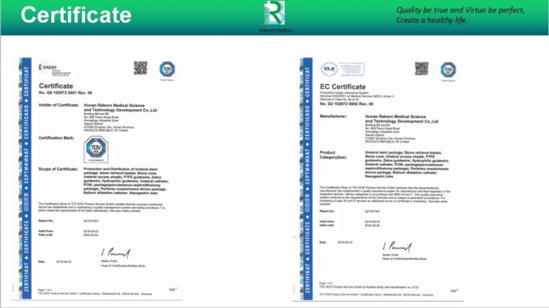 Ureteral Access Sheath Ureter Smooth Hydrophilic Coating with Ce Certificate