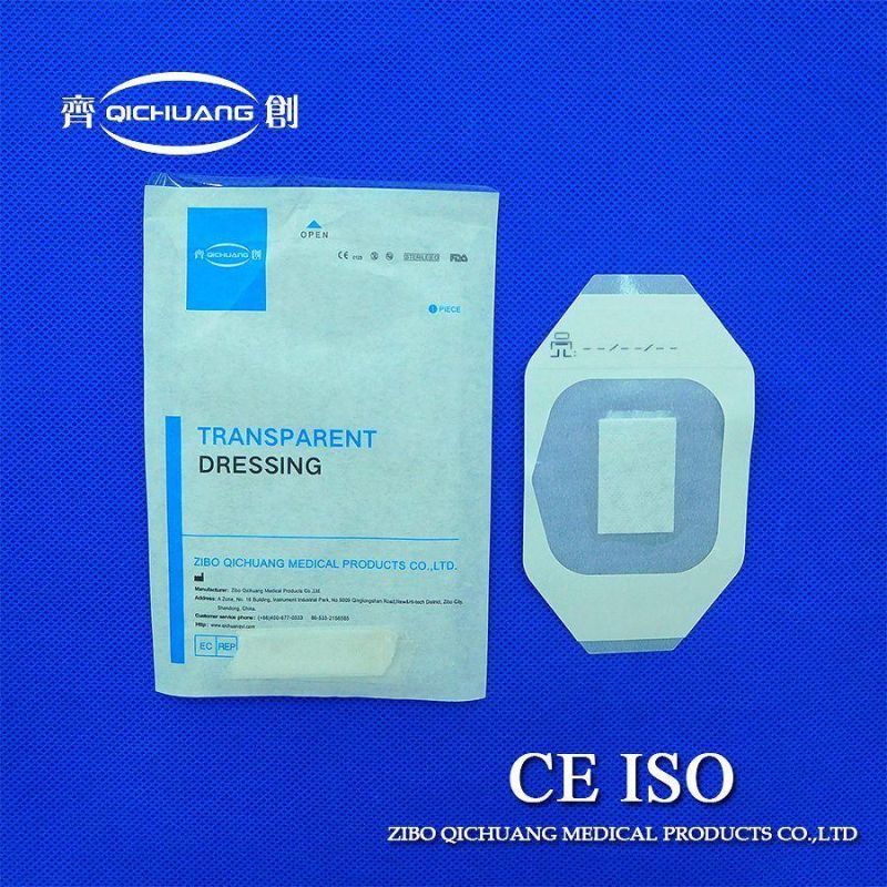 Medical Transparent Wound Dressing with Absorbent Pad