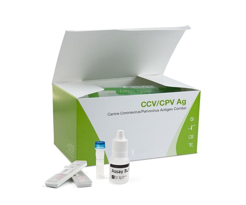 Parvovirus Test Kit/Parvo Test Kit/Parvo Test