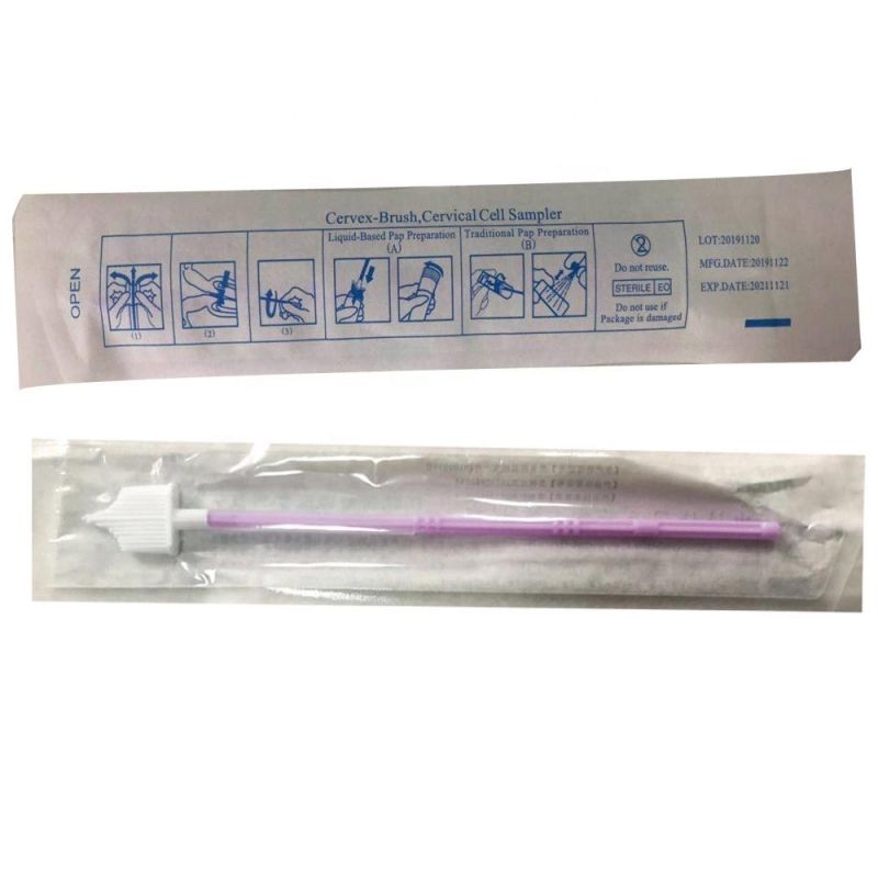 Medical Gynecological Diagnostic Test Swab Cervical Brush with Individual Packing for Women Examination