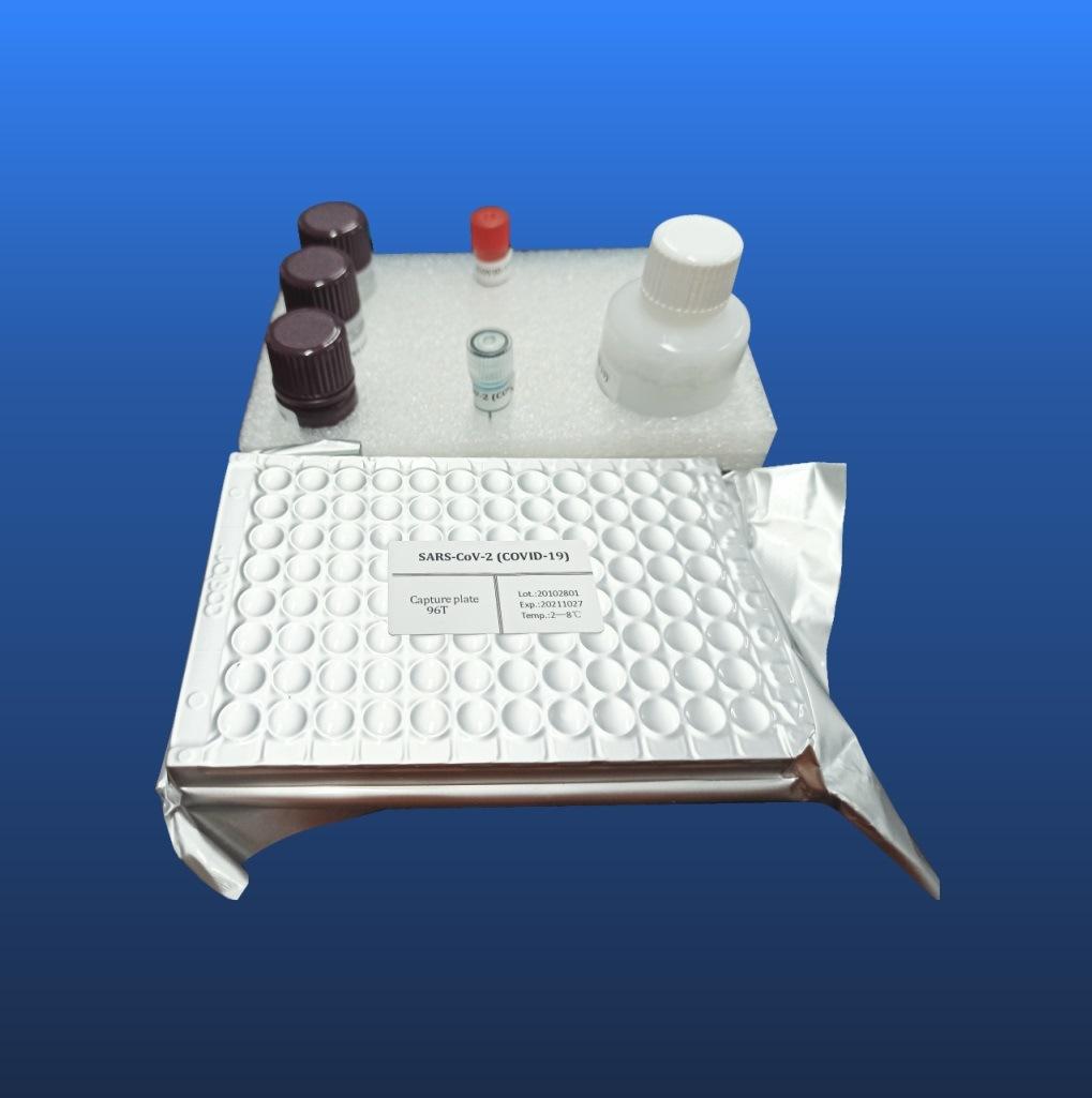 Chlorine Determination Kit (enzymatic method) Elisa Method