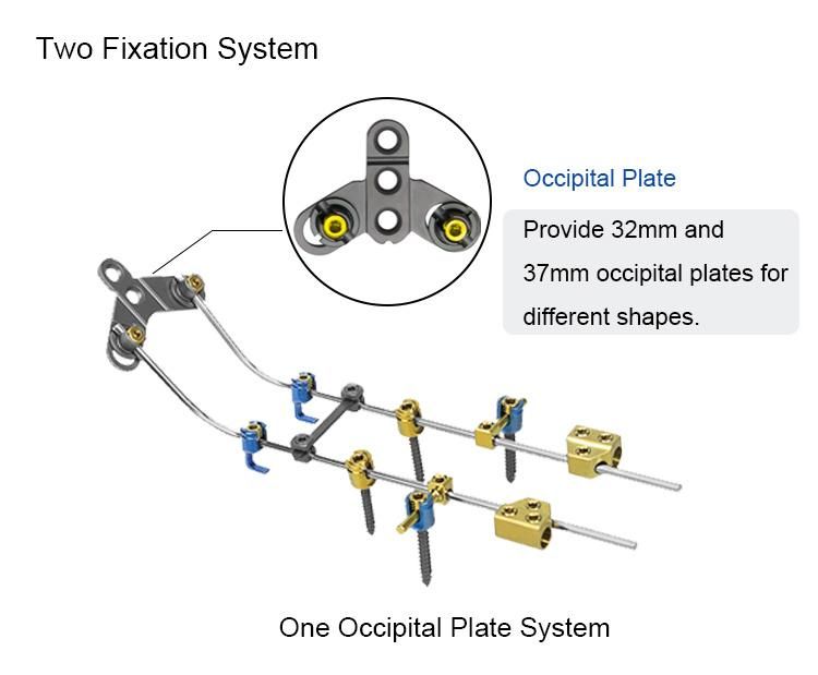 Factory Price Orthopedic Surgical Implants Occipital Plate-II for Posterior Cervical Fixation System Spinal Implant