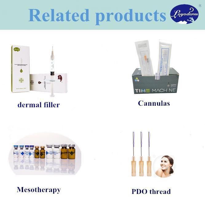 Blunt Cannula Micro Needle/ Blunt-Tipped Cannulas for Aesthetic Facial Beauty Filler Injection