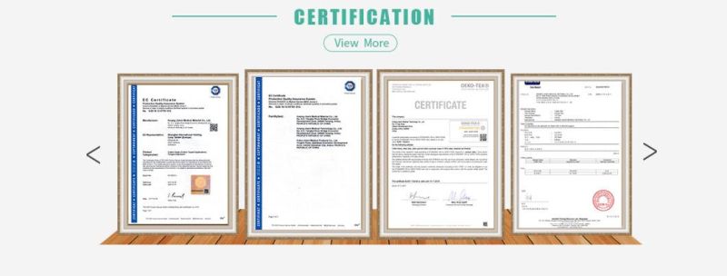 Bfe95% Medical Face Mask with Ce