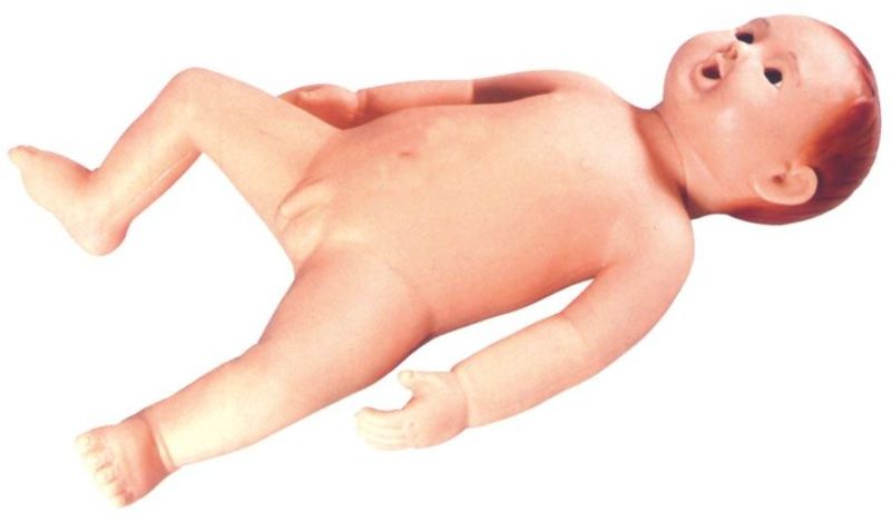 Medical Teaching Model-Advanced Infant Care Model Baby Care Model