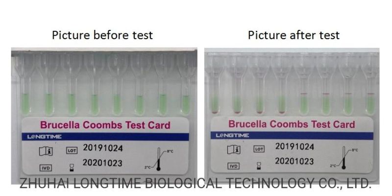 Longtime Brucella Rapid Diagnostic Test Microcolumn Gel Grouping Brucella Coombs Test Kit 12PCS