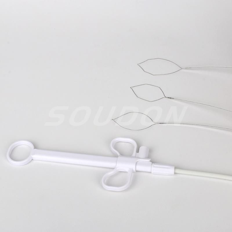 Endoscopic Consumables CE Certified Disposable Polypectomy Snare for Gastroenterology