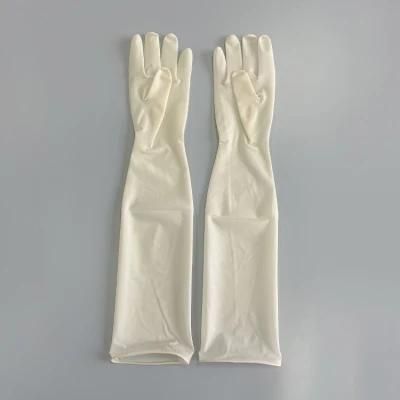 Latex Powder Free Gynecological Gloves, Long Cuff up to 470mm