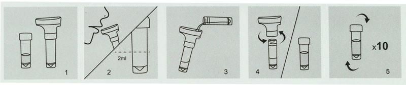 CE Approved Disposable Integrated Saliva Collection Kit Saliva Collector for Virus DNA/Rna Extracting with Mufacturer Price