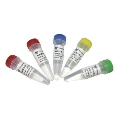 Disposable Virus Sampling Tube Sterile Virus Specimen Sampling Collection Tube with Swabs