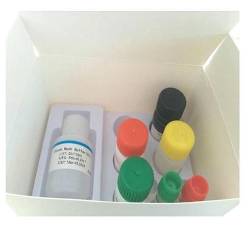 Bowl Cancer Test Kit/Cea Test Kit /Psa Test Kits /Cea Test Cassette