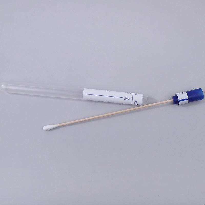 New Design Medical Test Sterile Bamboo Stick Cotton Swab