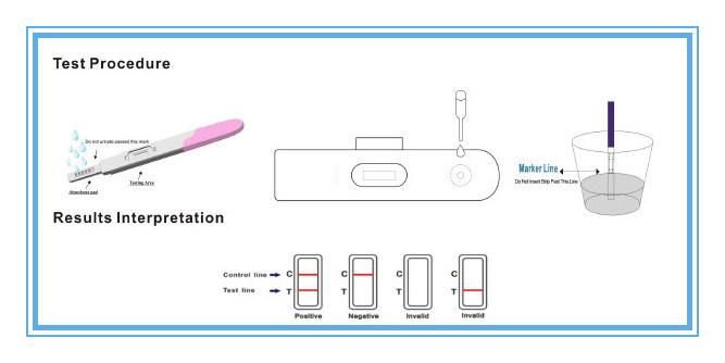 HCG Home Pregnancy Test Urine Pregnancy Test Strip Midstream 99.96% Accuracy Test