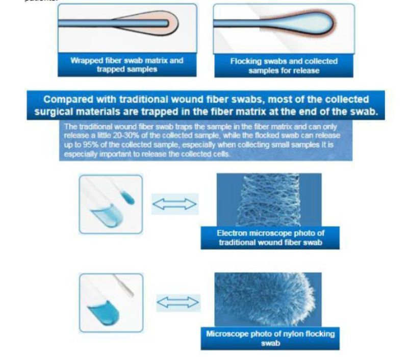 10ml Viral Transport Medium Tube Inactivation or Activation Vtm with Dry Swabs