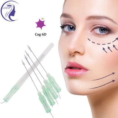 Hot Popular Face Cheek Lifting V Lift Cog Molding Pdo Thread with Cannula