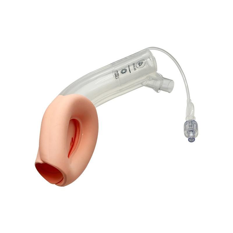 Medical Silicone Double-Lumen Laryngeal Mask Airway Disposable Stomach Airway (III)