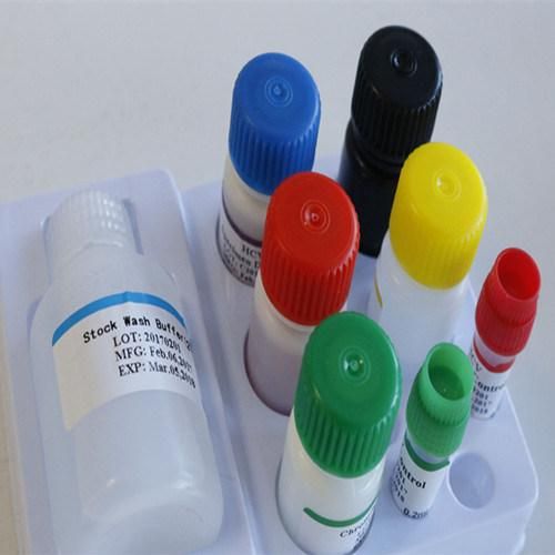 Cea Elisa Test Kits/Elisa Test Kits