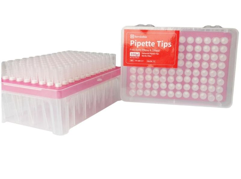 Disposable Graduated Transfer Pasteur Micro Flitered Pipette Tips