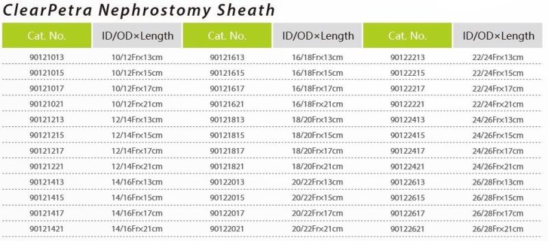 Ureteral Access Sheath Clearpetra Access Sheath