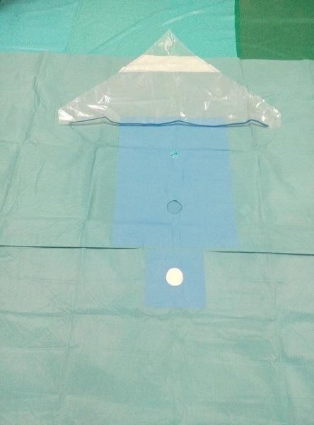 Factory Supply Surgical Sterile Liquid Collection Pouch/Disposable Collection Pouch