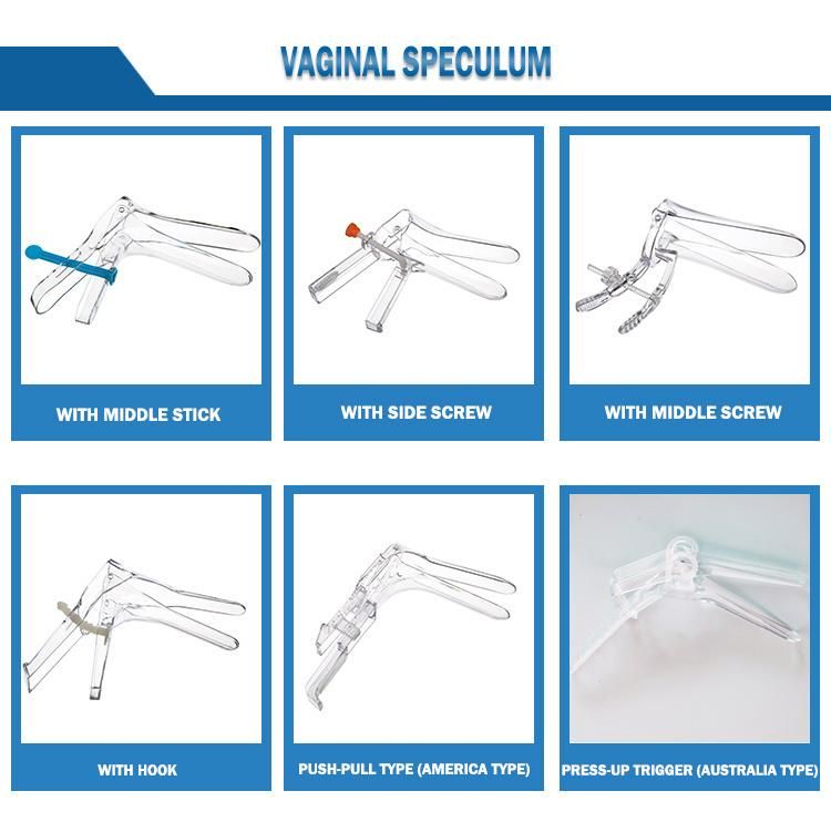 Plastic Disposable Medical Sterile Gynaecological Cervical Brush Cytology Brush