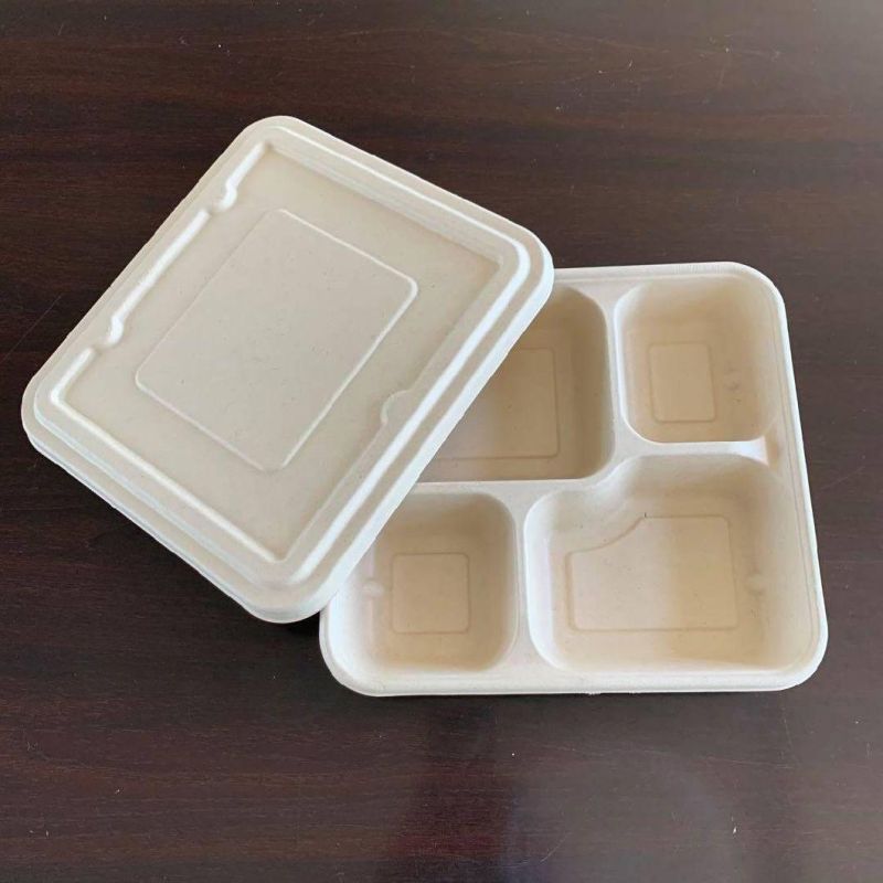 Recyclable Products, Degradation, Biodegradable Industry, Biotechnology, Lunch Box, Pipe, Plastic Bag, New Material