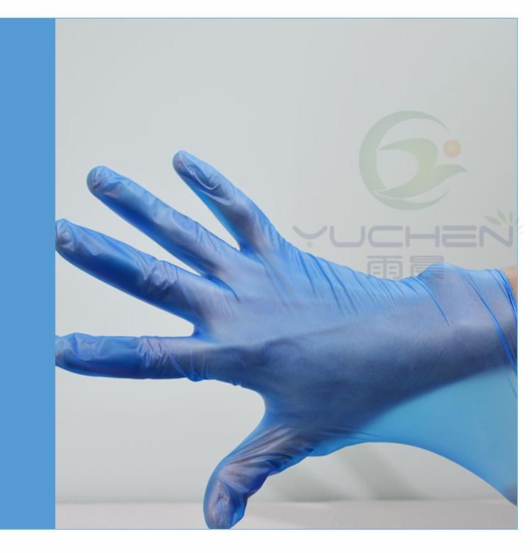 Disposable Clear/Blue Vinyl Gloves