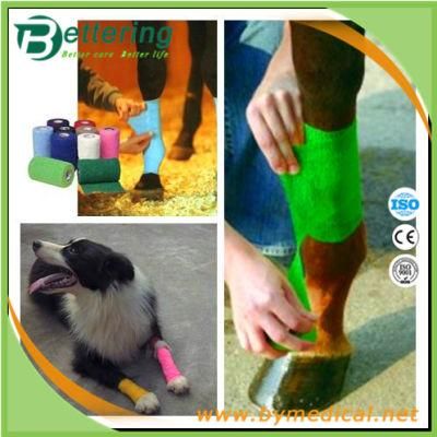 Non Woven Cohesive Equine Bandage for Hoof Wrap