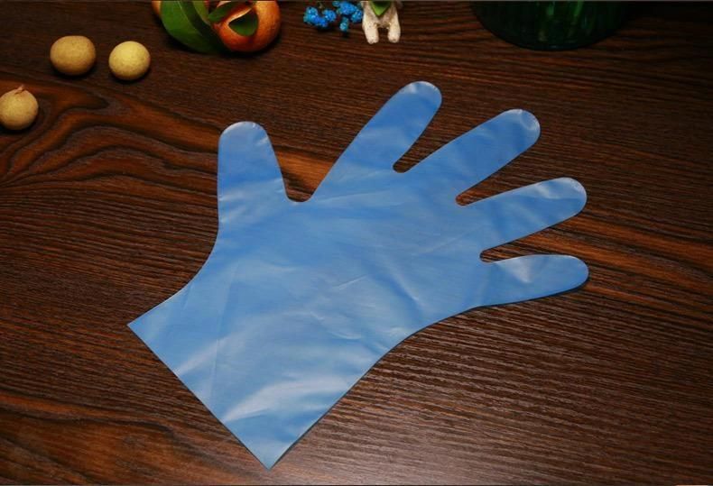 Medical FDA CE En374 En455-2 Approved Muti-Color Water Proof Disposable High Elastic Free Powder Stretchable TPE Gloves