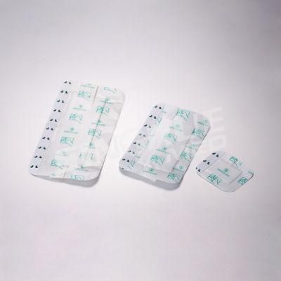 6X3cm 7X5cm 8X6cm 10X10cm 10X35cm Disposable Waterproof Transparent Wound Dressing