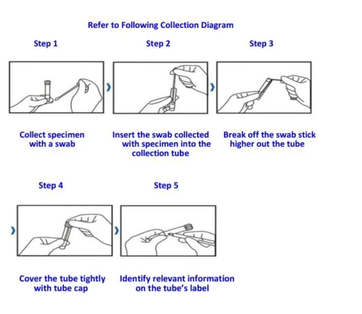 Disposable Sterile Specimen Collection/Sampling Flocked Nylon Swabs