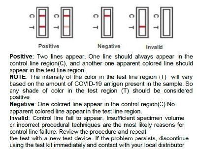 Rapid Test for Antigen Nasal Swab Self-Test Kit for 1 9