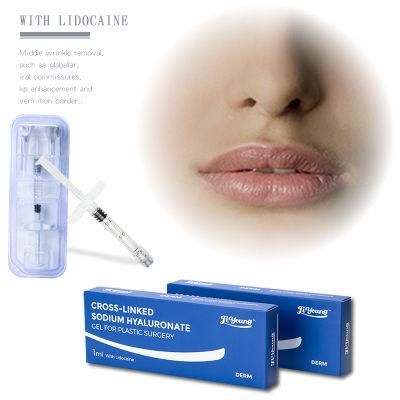 2022 Cross Linked Hyaluronic Acid Sodium Hyaluronate Dermal Filler for Face